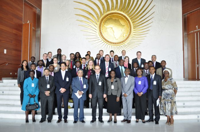 Pan-African University Steering Committee