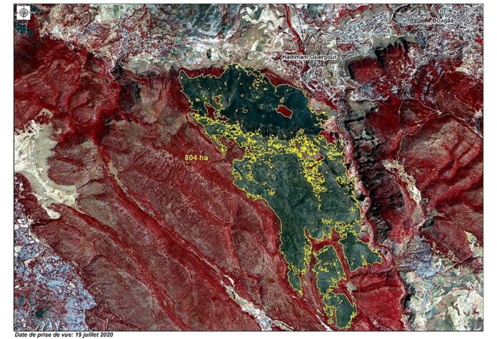 Estimation of forest areas covered by fire by Alst-2B image - Hammam Guergour –Wilaya de Sétif, July 2020